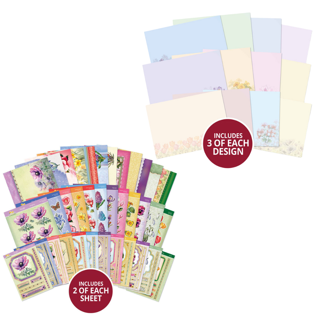 Collection Épanouie