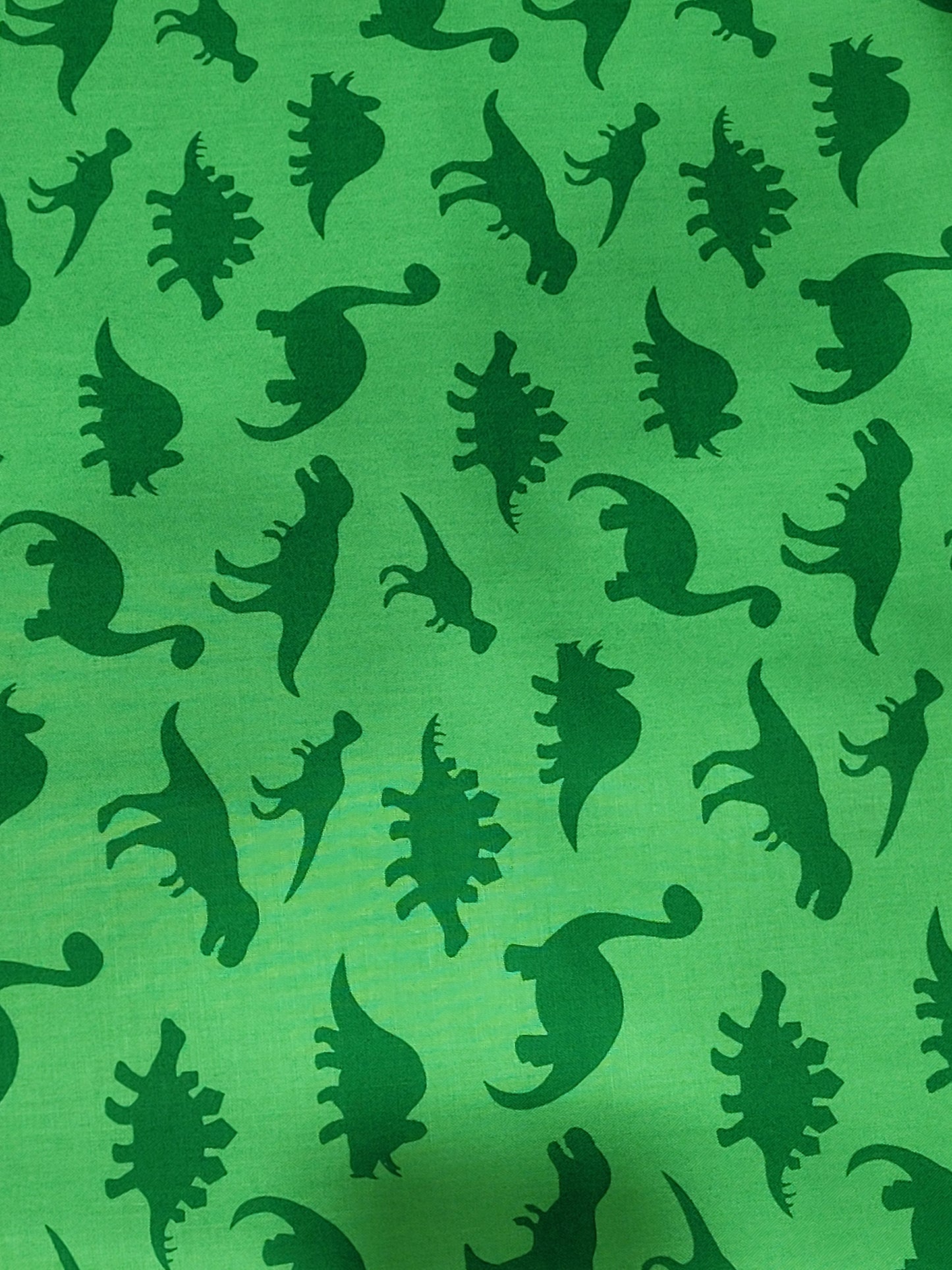 Dinosaur Dance - 87550-104 - Green