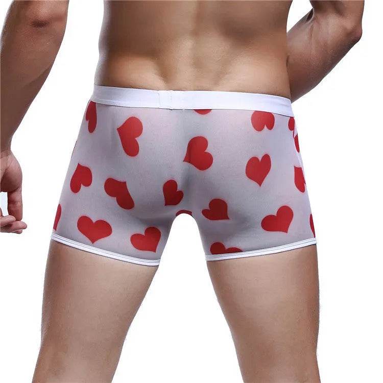 Spandex Mesh Printed Pouch boxer briefs underwear men
