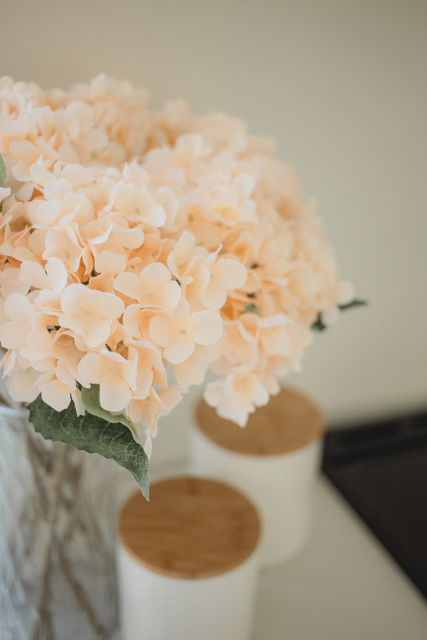Hortensia