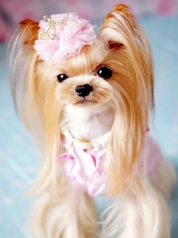Couronne de princesse
