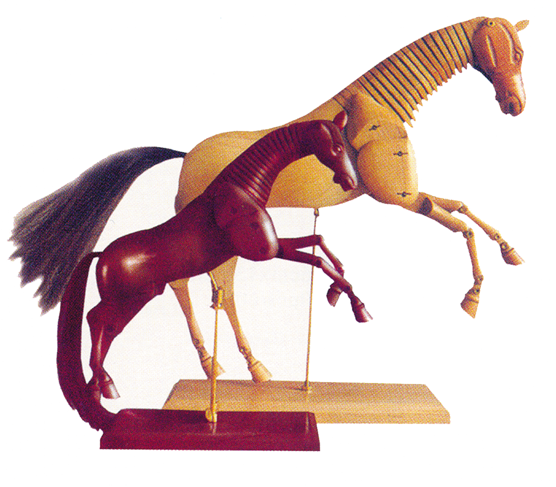 Horse Mannequin