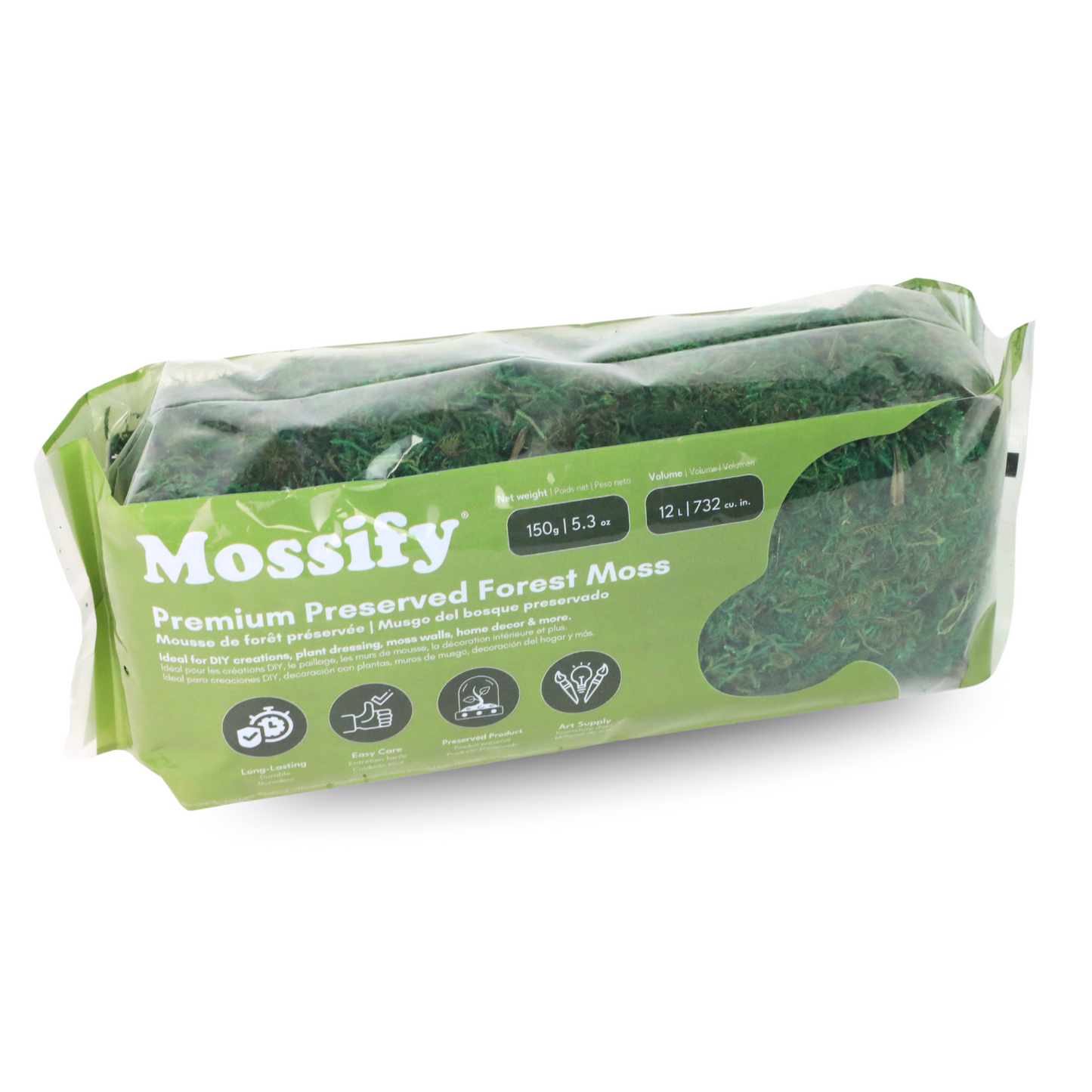 Premium Preserved Forest Moss