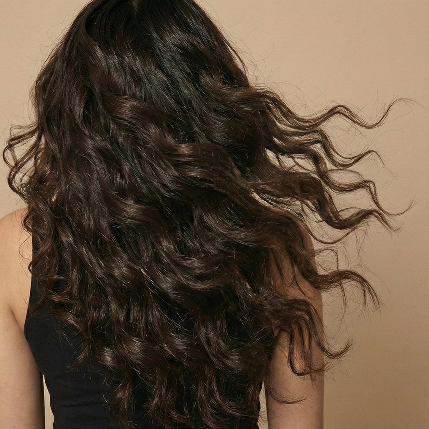 Poudre de Sidr Rayhana