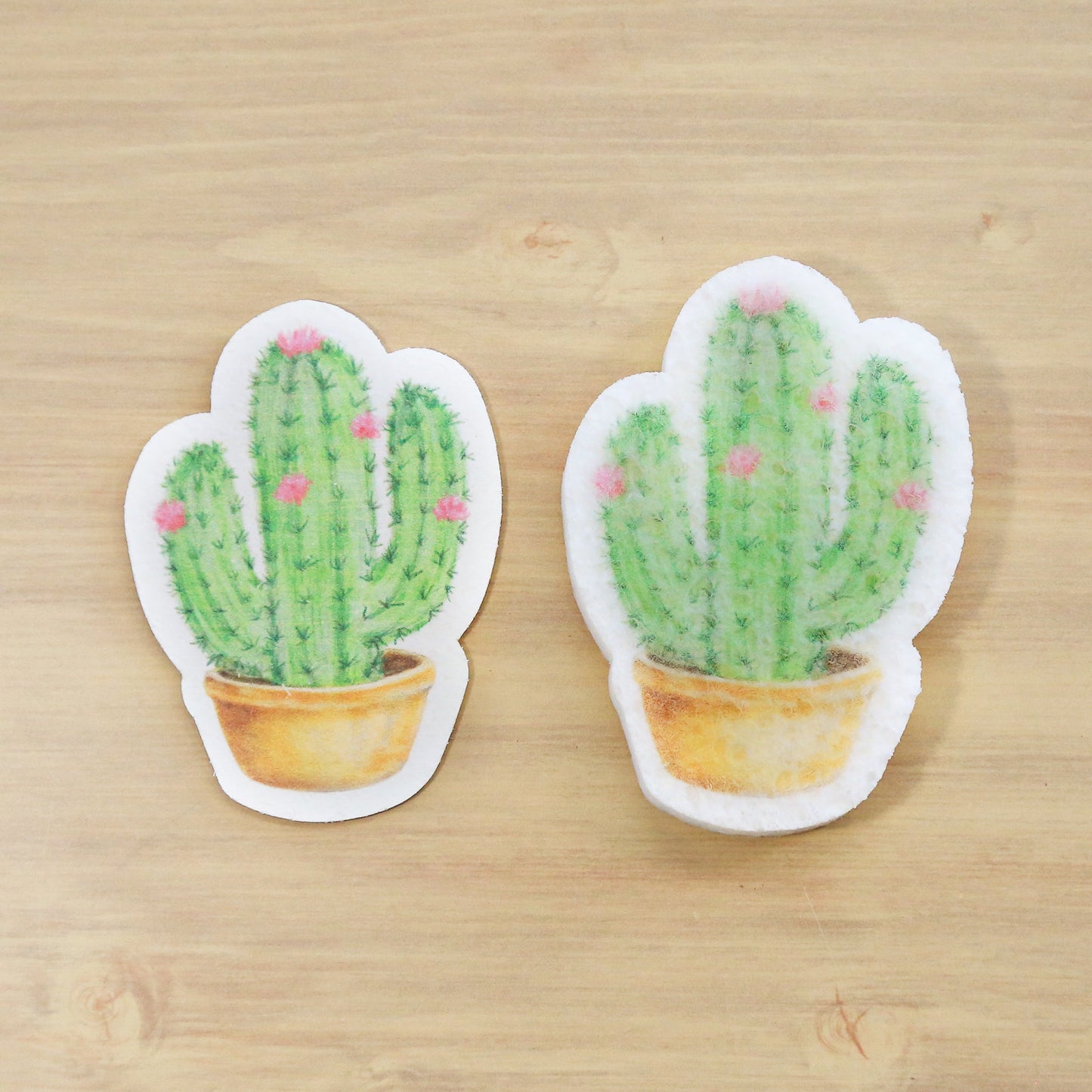 Éponge Pop Up Cactus