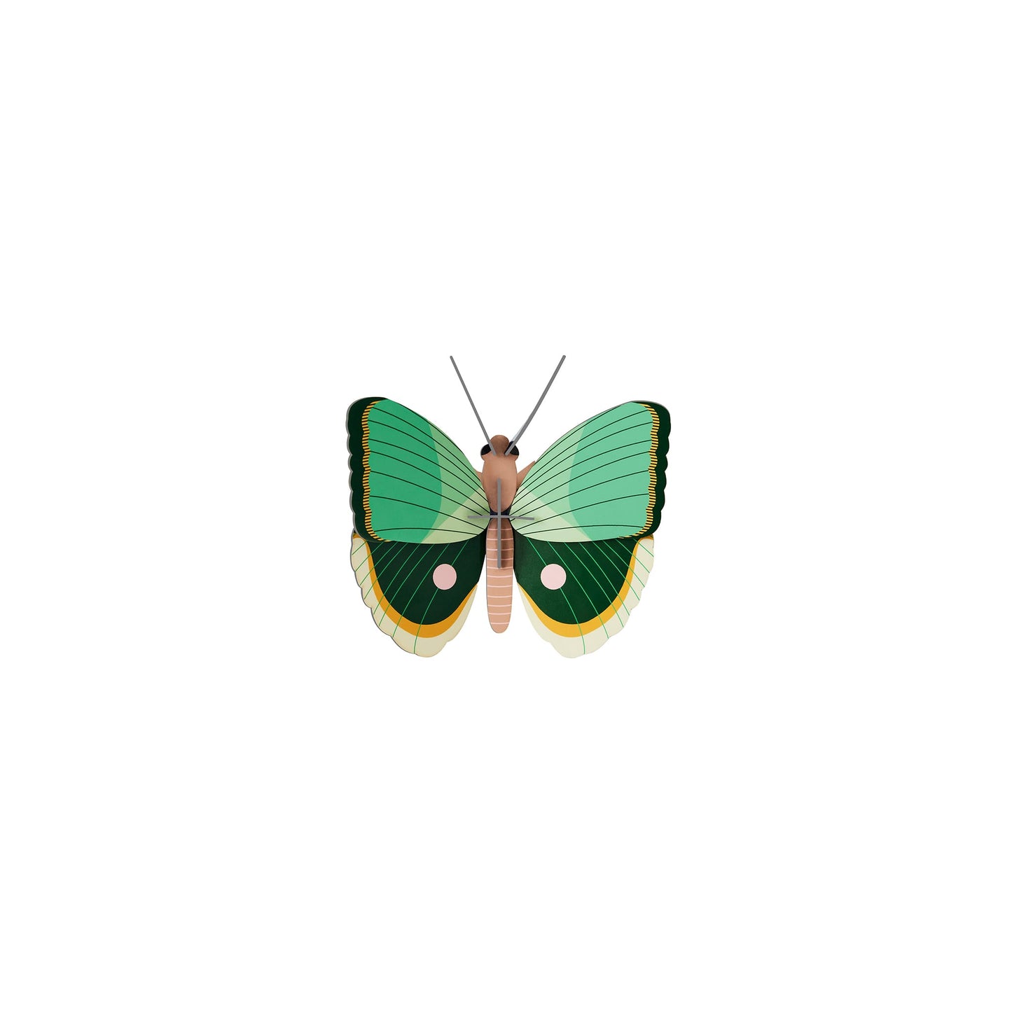 Papillon à rayures de fougère