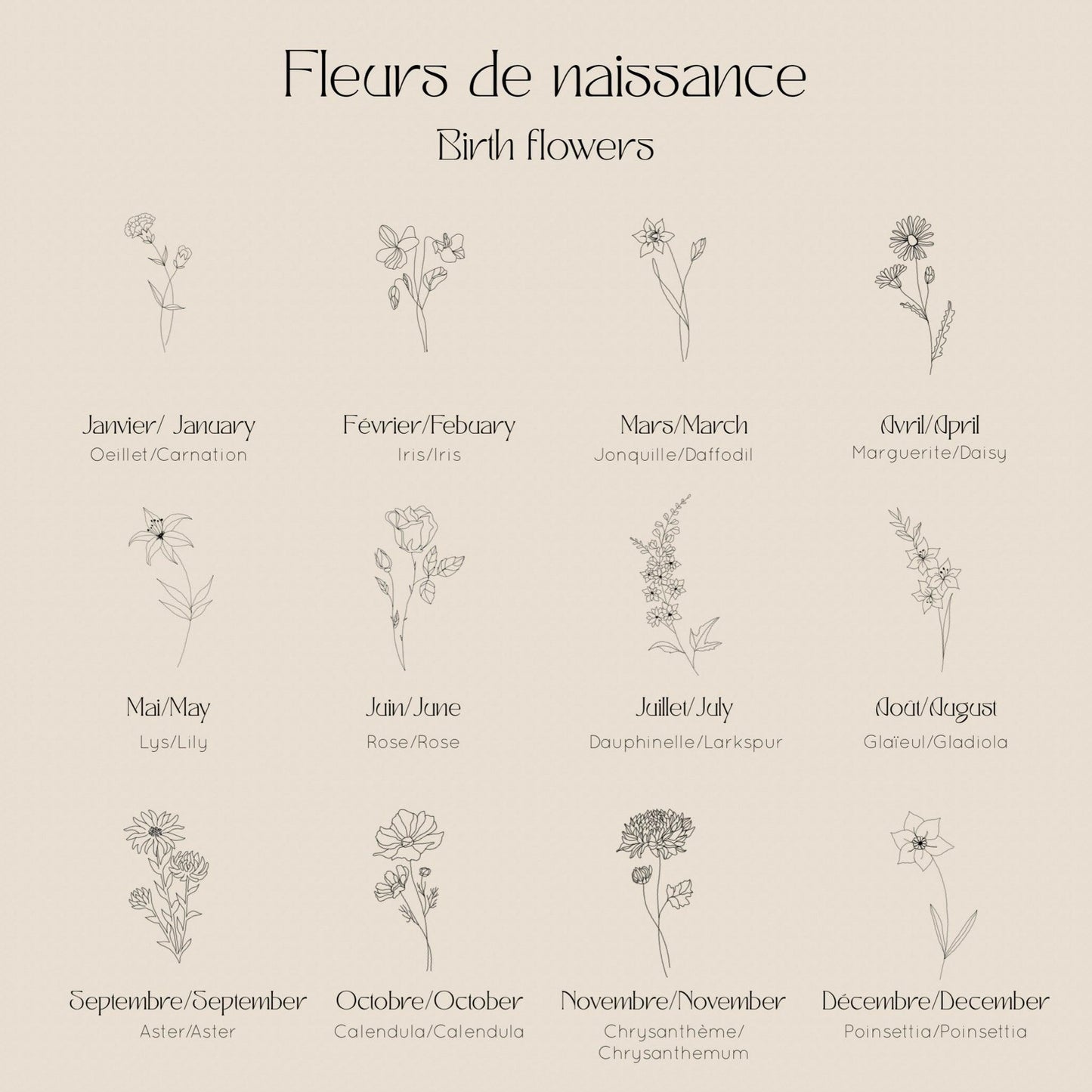 Les Fleurs - Décembre