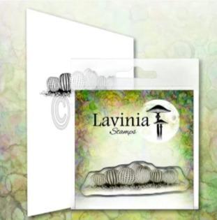 Tampons Lavinia Urchins