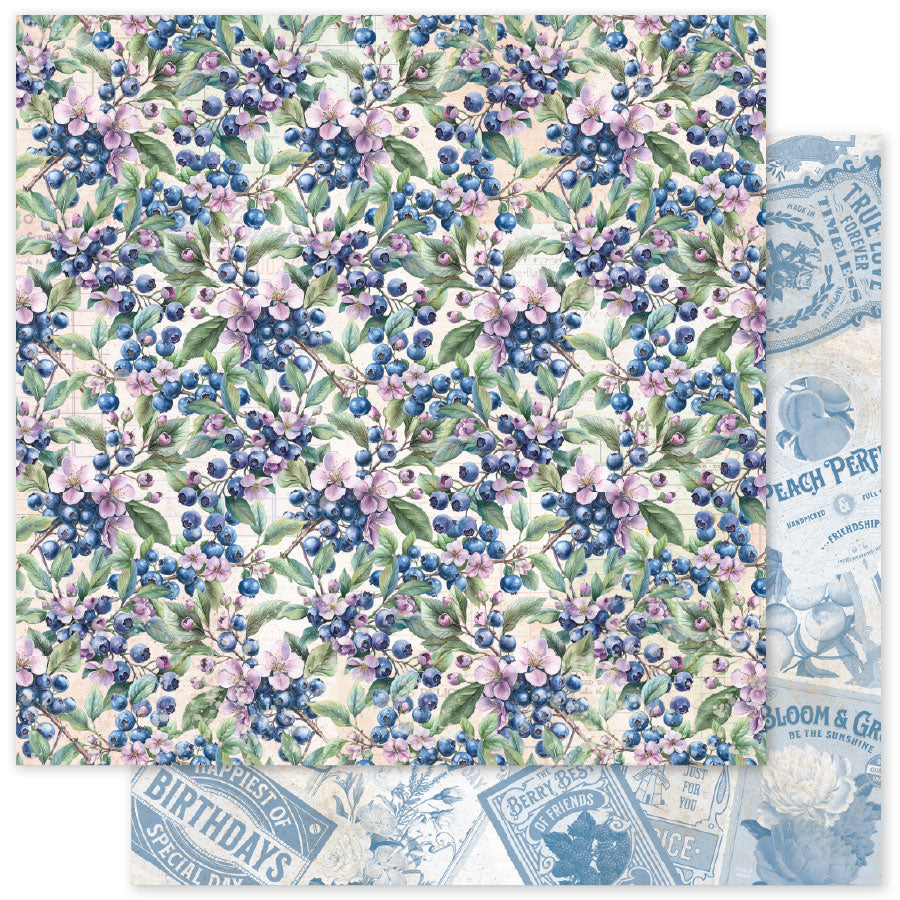 Meadowbrook Farm Patterns D 12 x 12 Paper (12 pc Bulk Pack) 35100