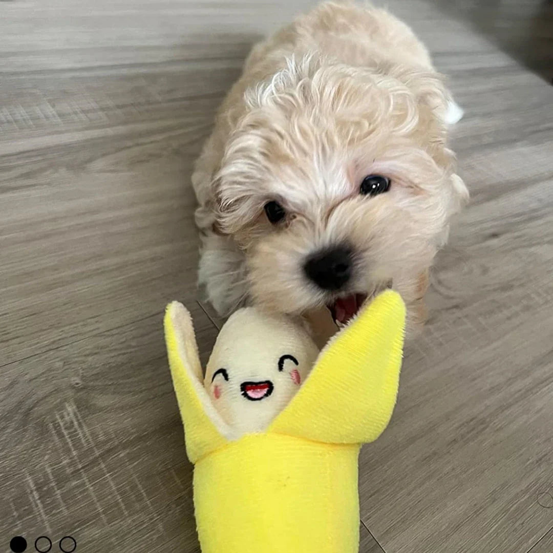Un ensemble de 7 pièces de jouets sonores pour chiots, à mâcher en peluche en vrac pour animaux de compagnie, collations aux fruits et jouets pour chiots de légumes, adaptés aux jeux mignons