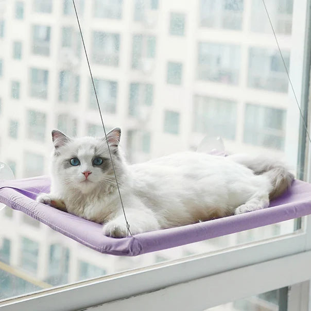 Hamac pour chat, cintre de fenêtre, lavable et détachable, lit pour animaux de compagnie, étagère à aspiration, sac, siège pour chat, fournitures pour animaux de compagnie