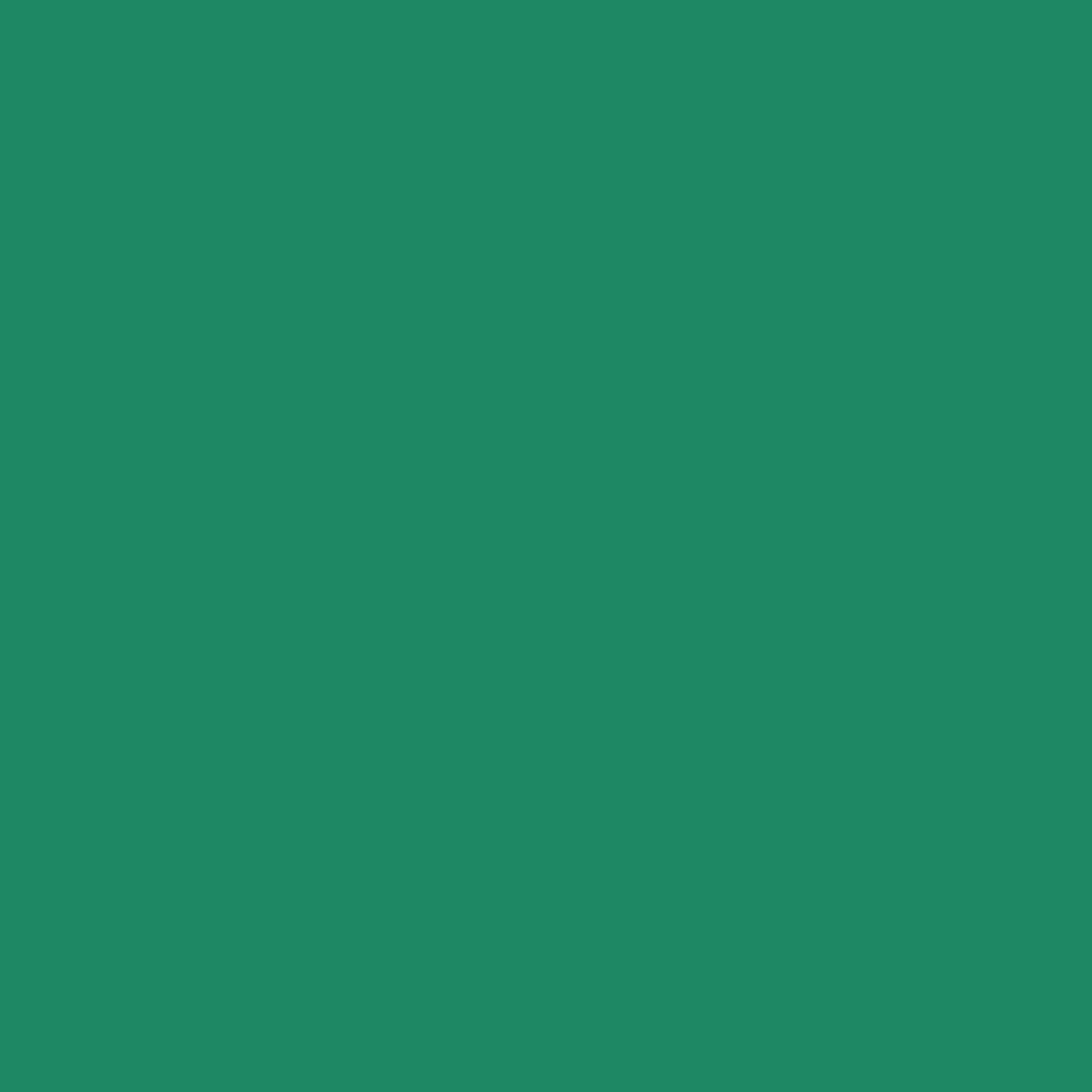 Siser Caddet Green Easyweed 12" x 12" sheets