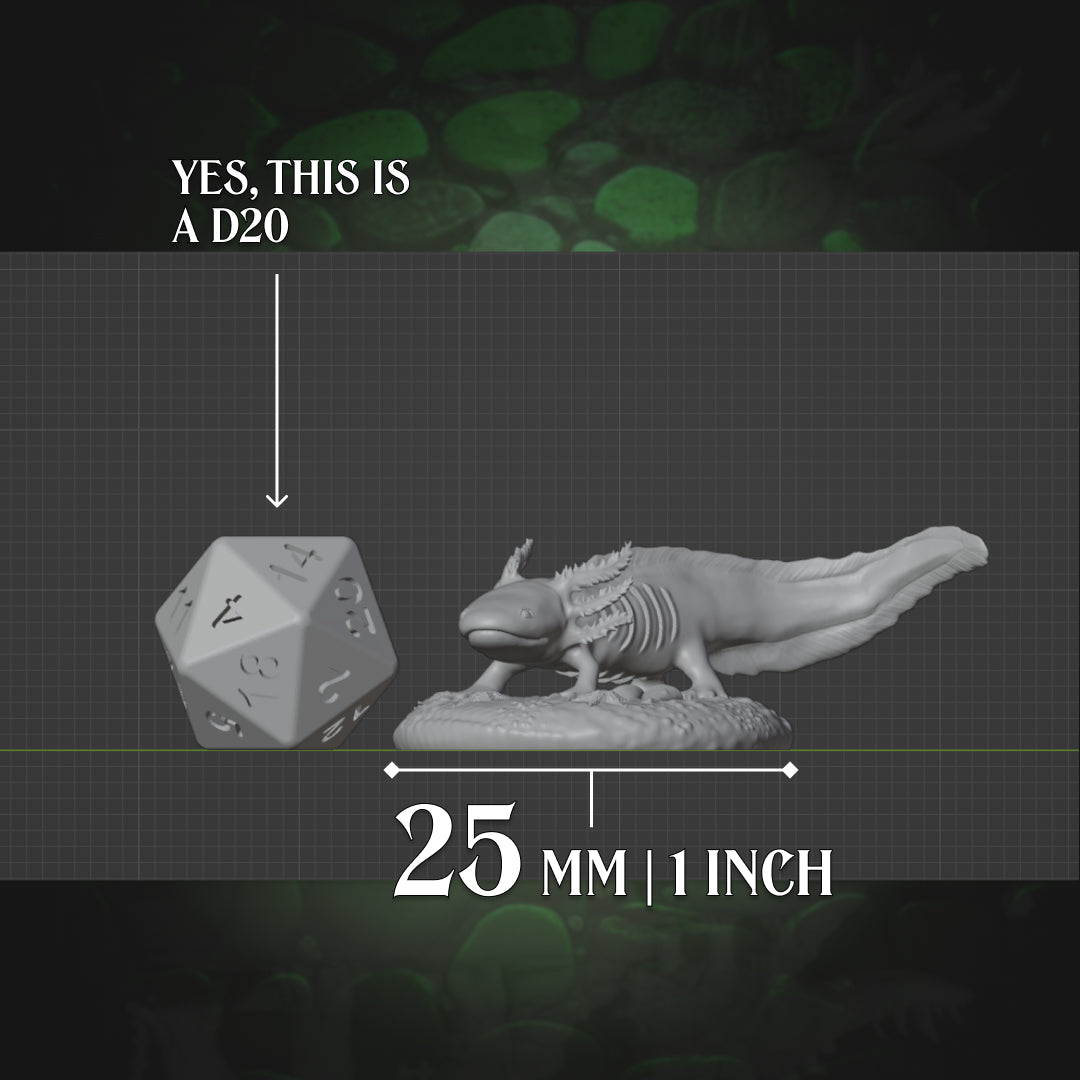 Axolotl Familiar