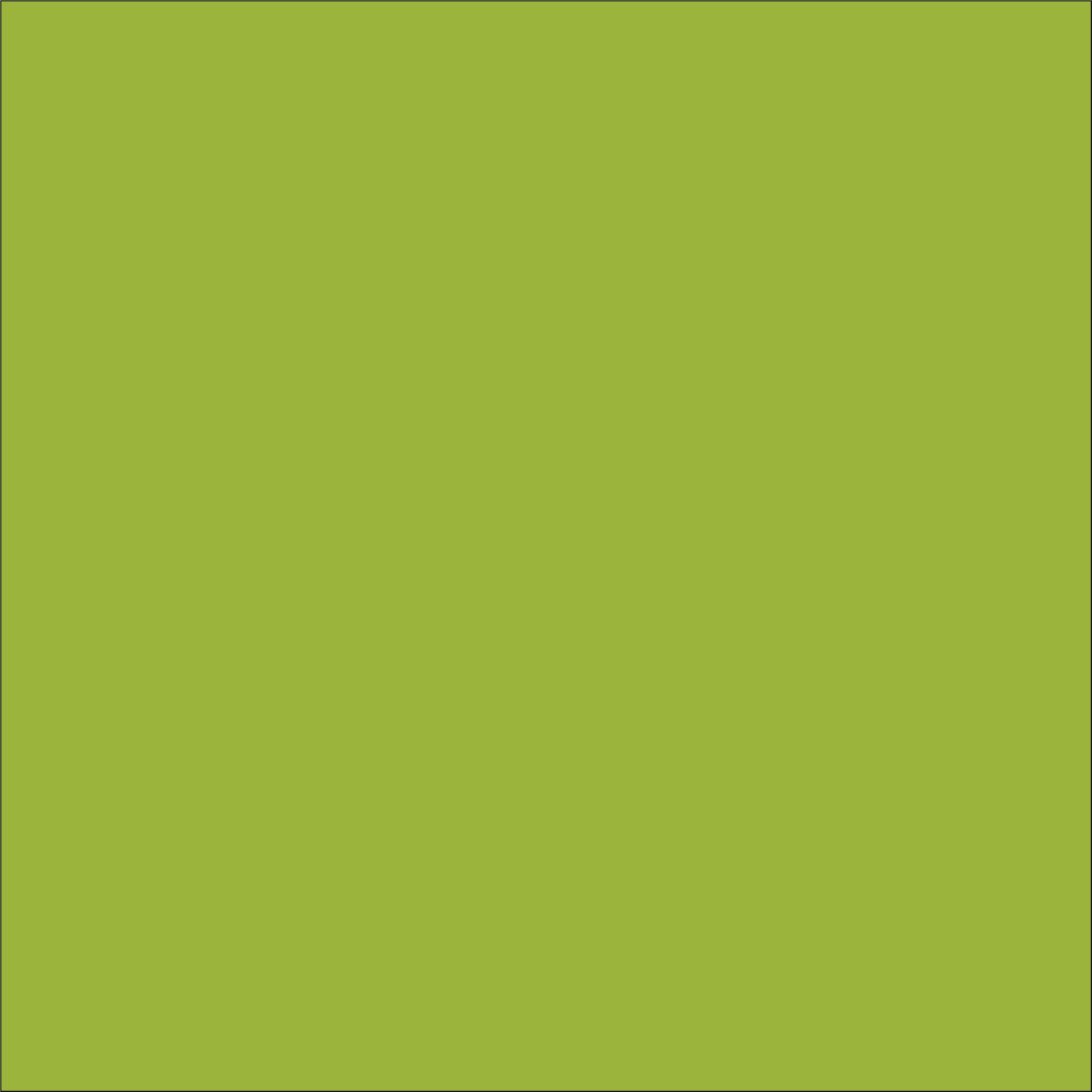 Craft Lime HTV Vinyl 12" x 12" sheets