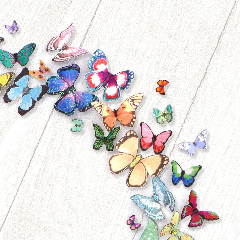 Découpage Découpé à l'Emporte-Pièce - Un Kaléidoscope de Papillons (Lot de 2)