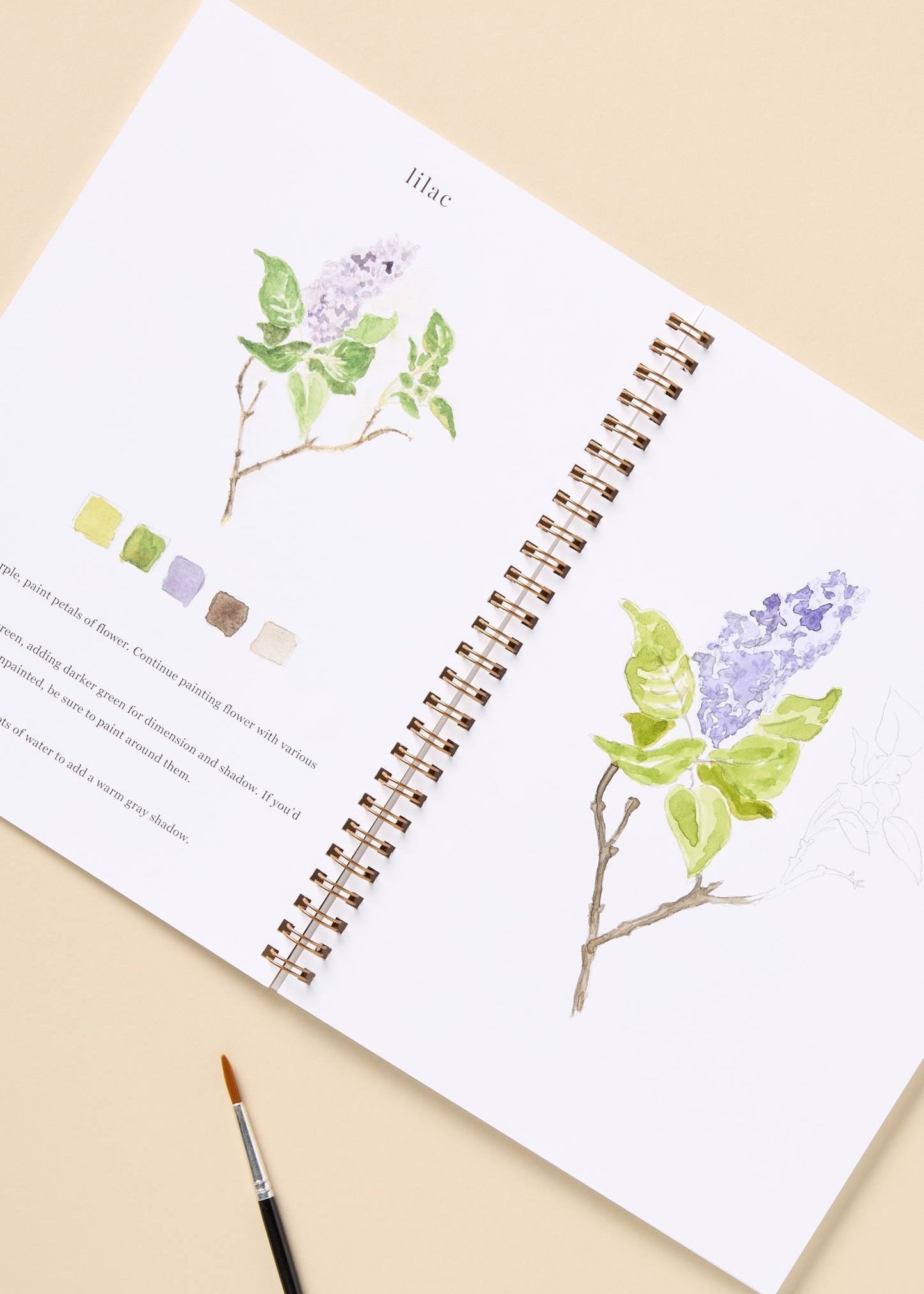 Flowers Watercolour Workbook