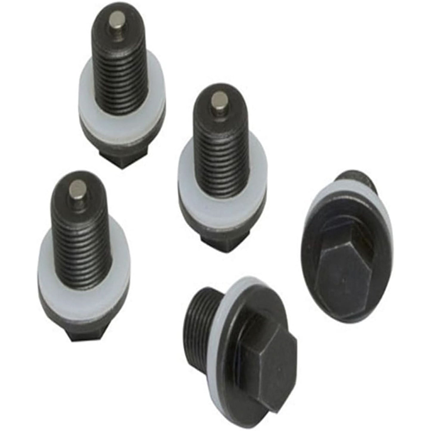 Set of 5 Plugs & Gaskets