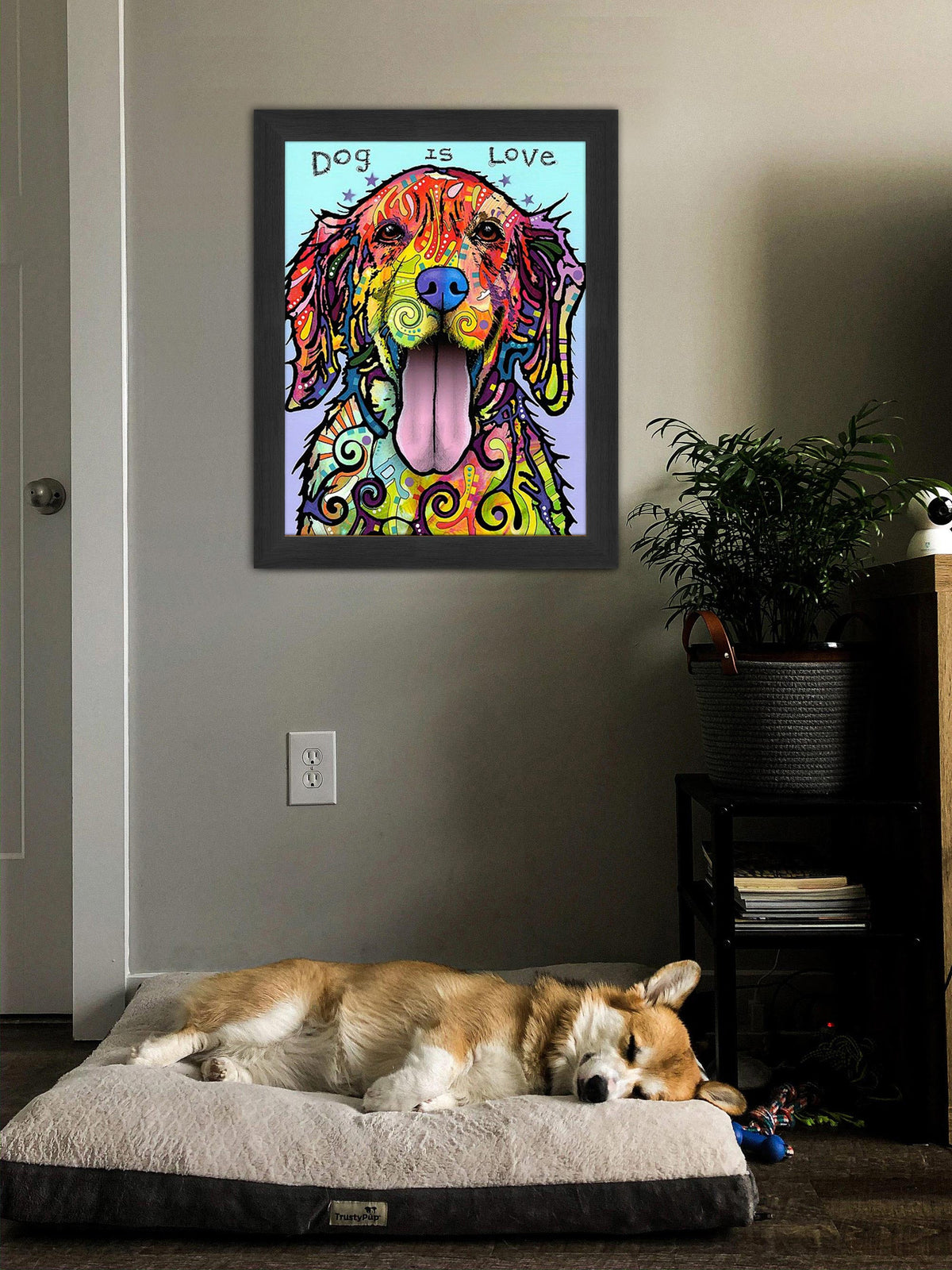 Lab Love Colorful Framed Canvas Wall Art (33.5x23.5)