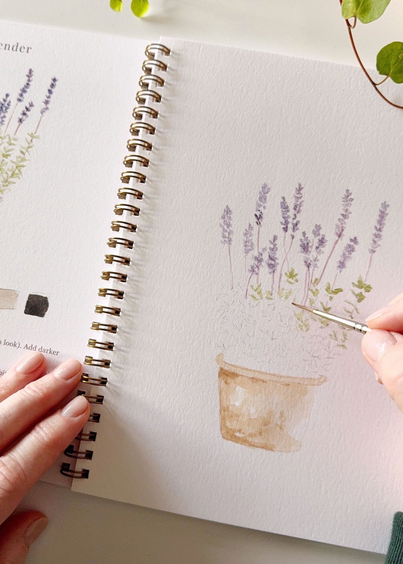 Garden Watercolour Workbook