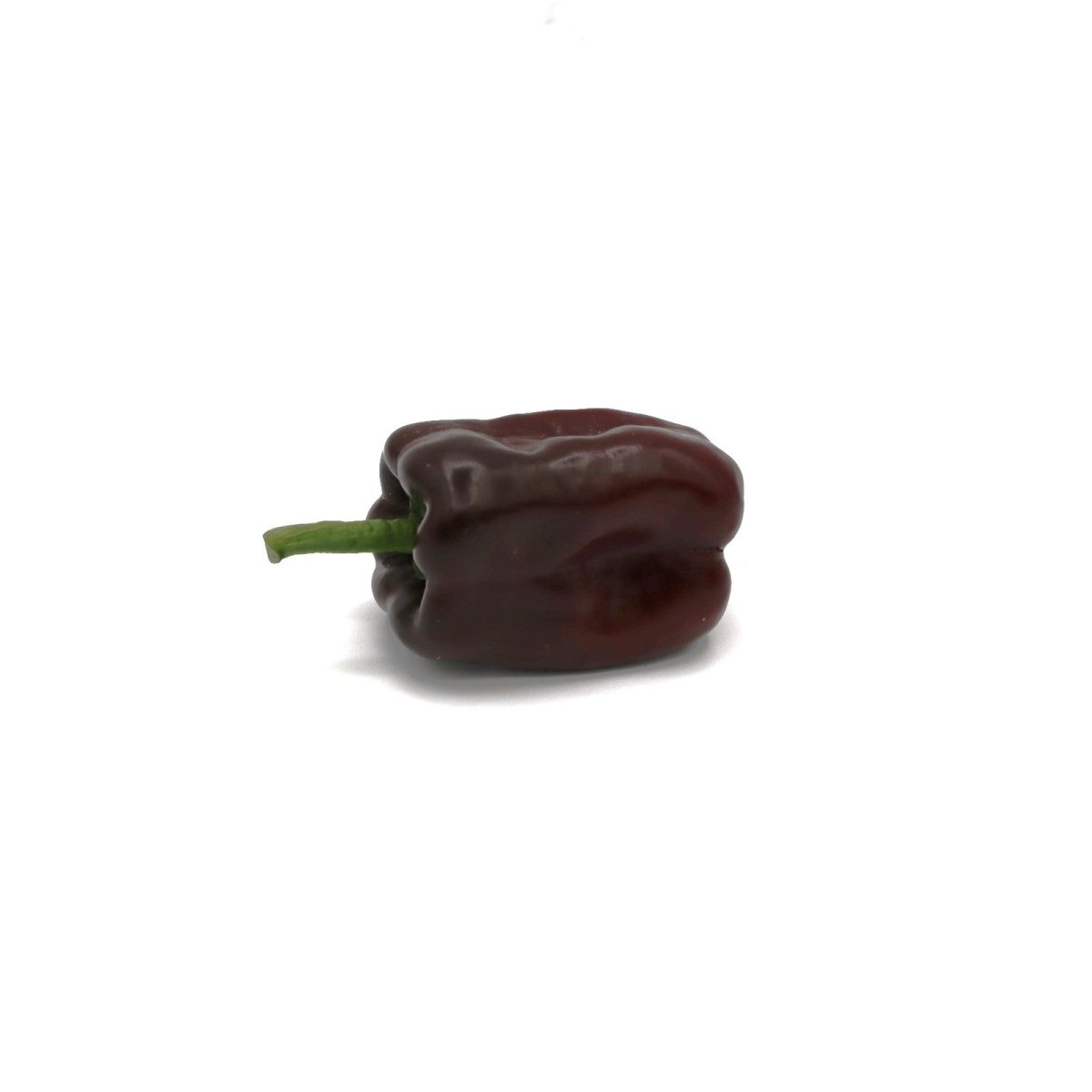 Hot Peppers - Ancho - Fresh Harvest Fruiting Crop