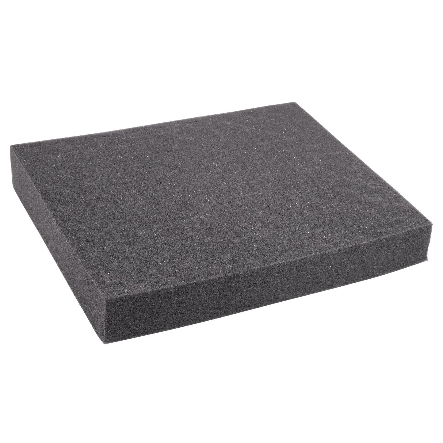 Replacement Foam for REED R8888