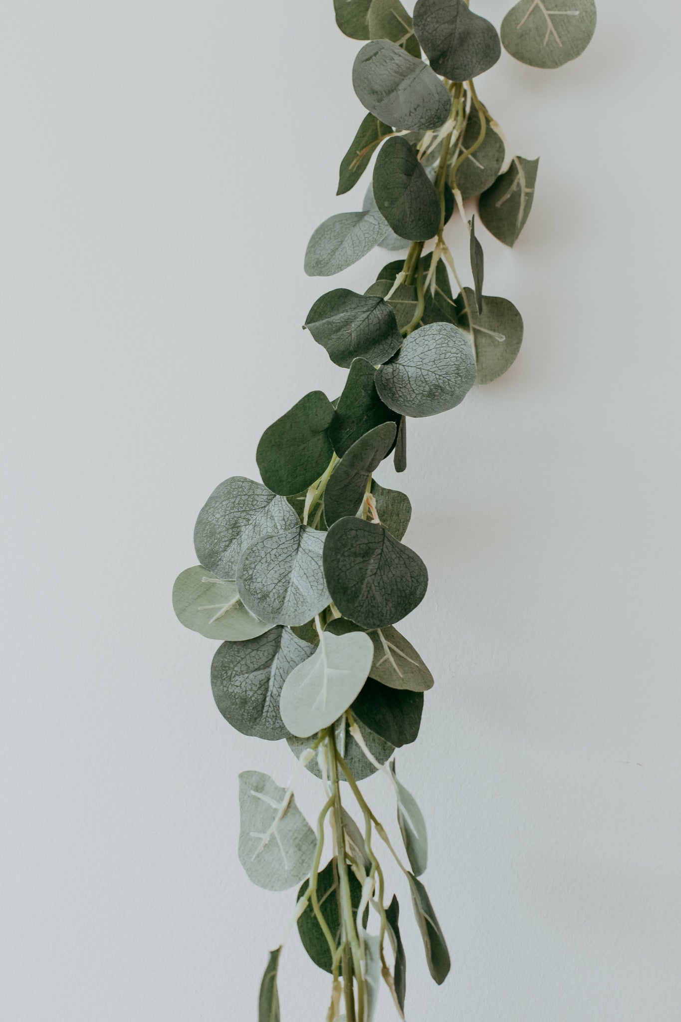 Guirlande d'eucalyptus standard (artificielle)