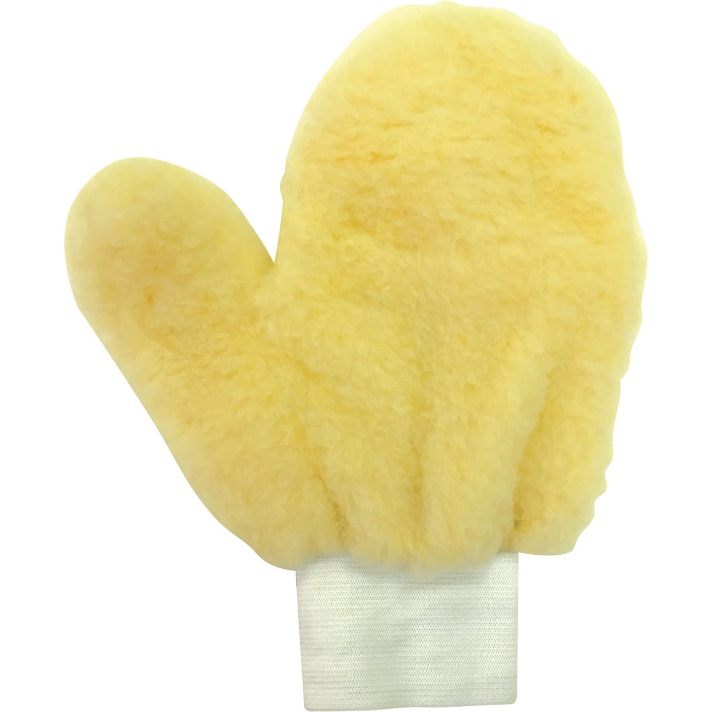 Paint Mitt