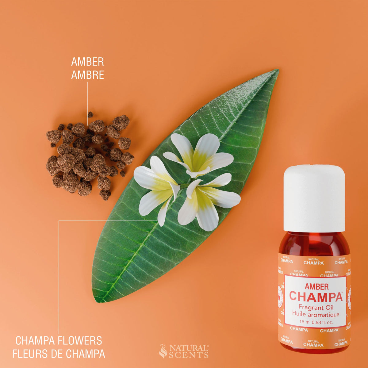 Amber Champa Fragrant Oil