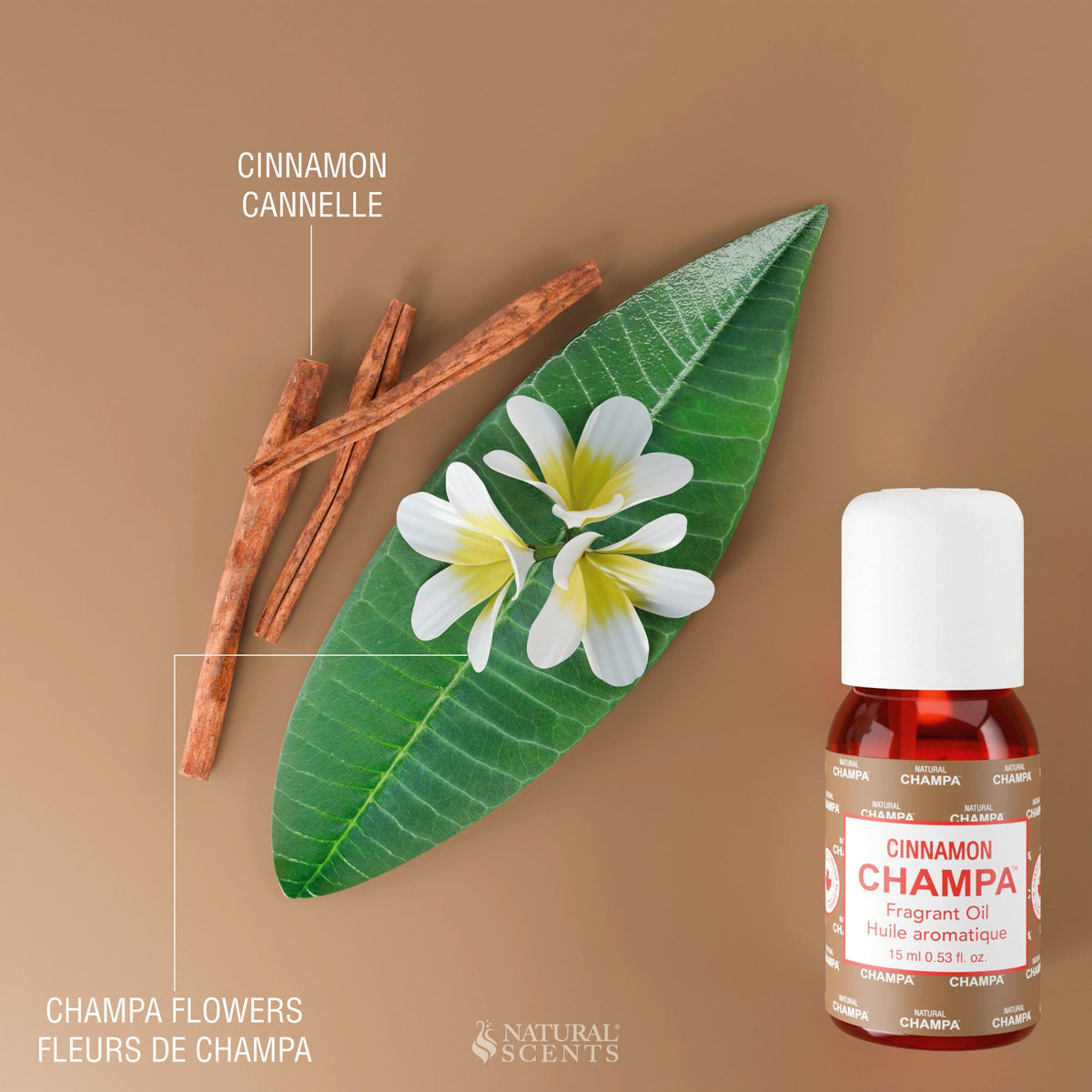 Huile parfumée Cannelle Champa