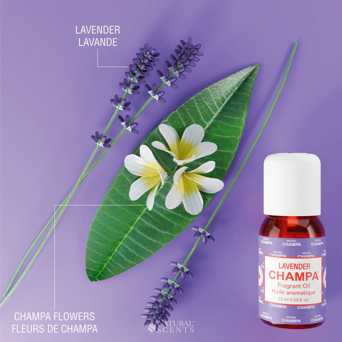 Huile parfumée Lavande Champa