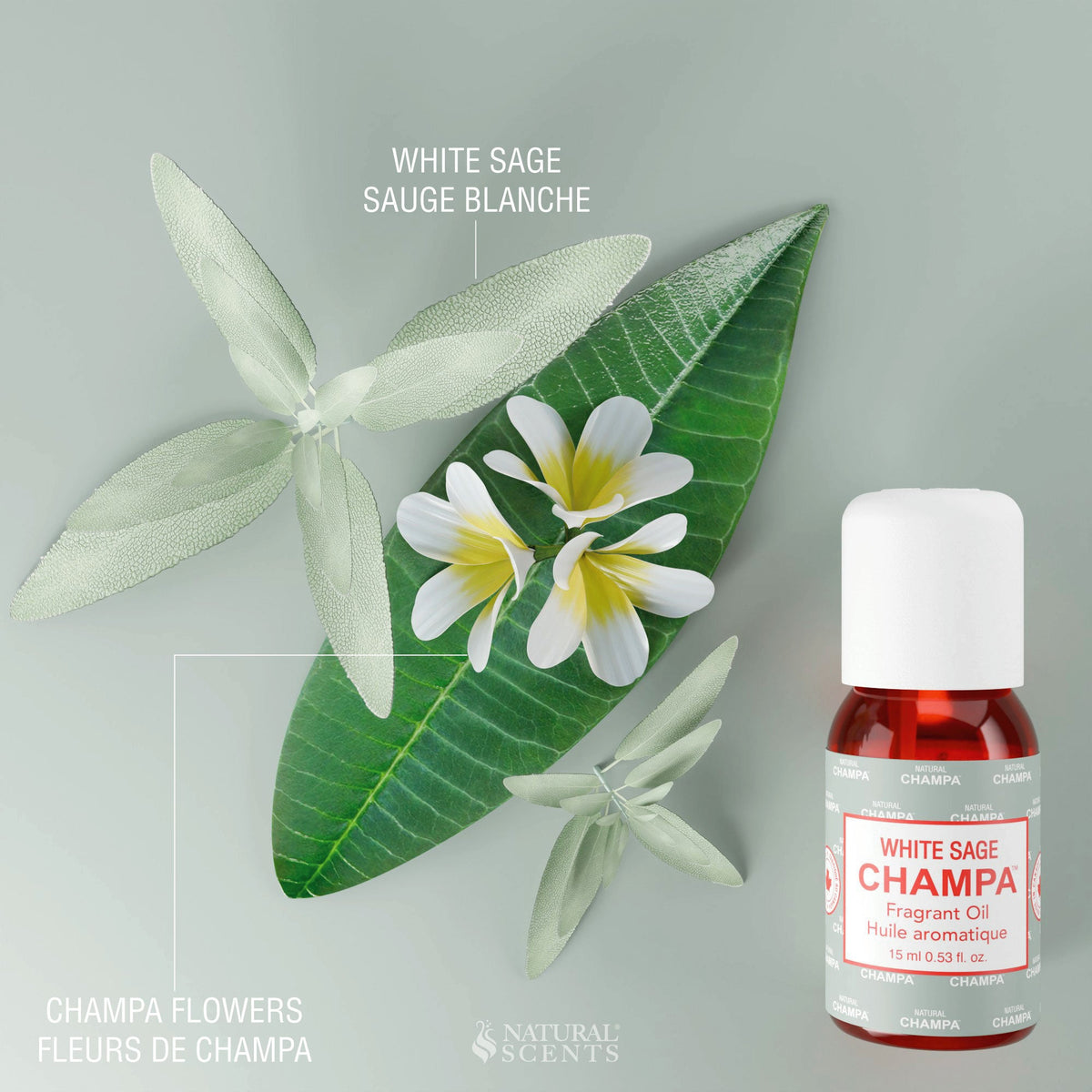Huile parfumée Sauge Blanche Champa