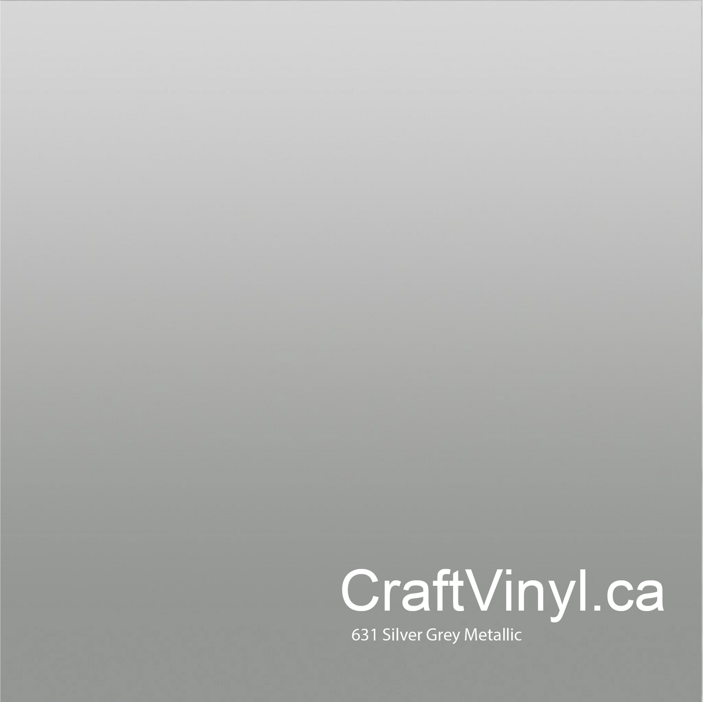 Oracal 631 Silver Grey #090
