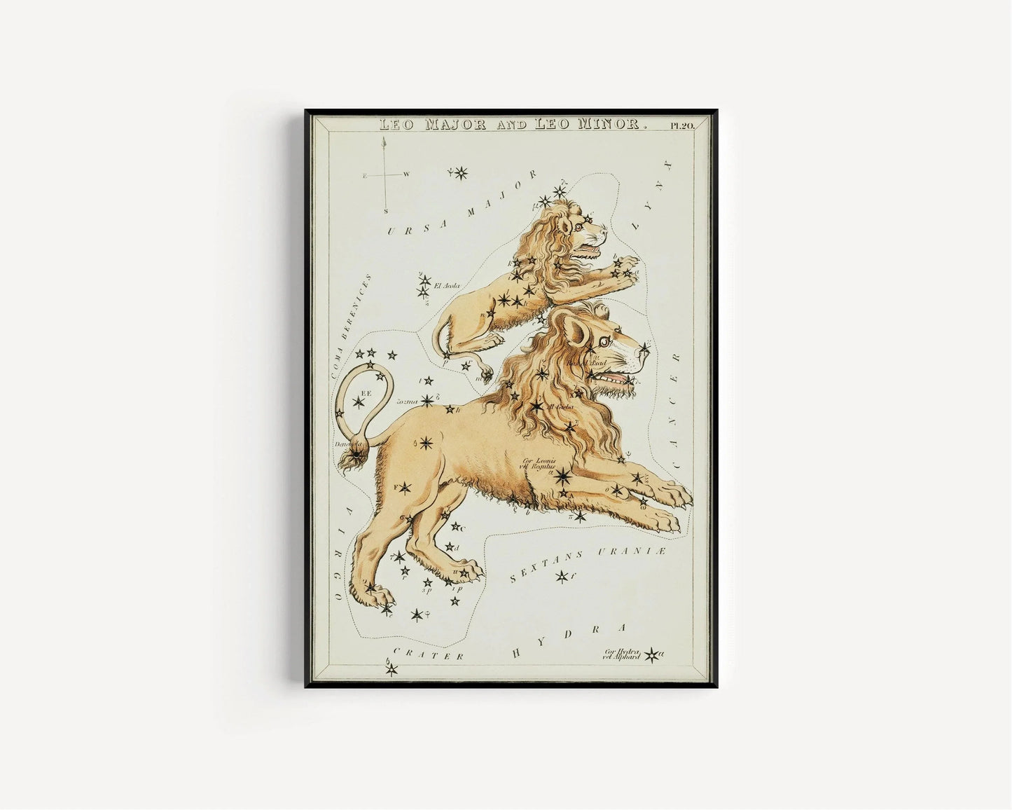Personalizable Vintage Astrological Sign Print - Leo | Sidney Hall Art (available handframed or unframed)