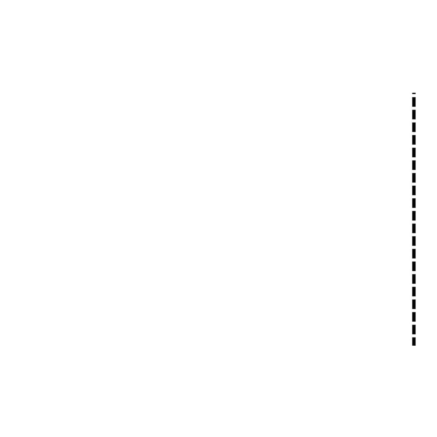 Blank Packing Slip Envelope, 12" L x 9-1/2" W