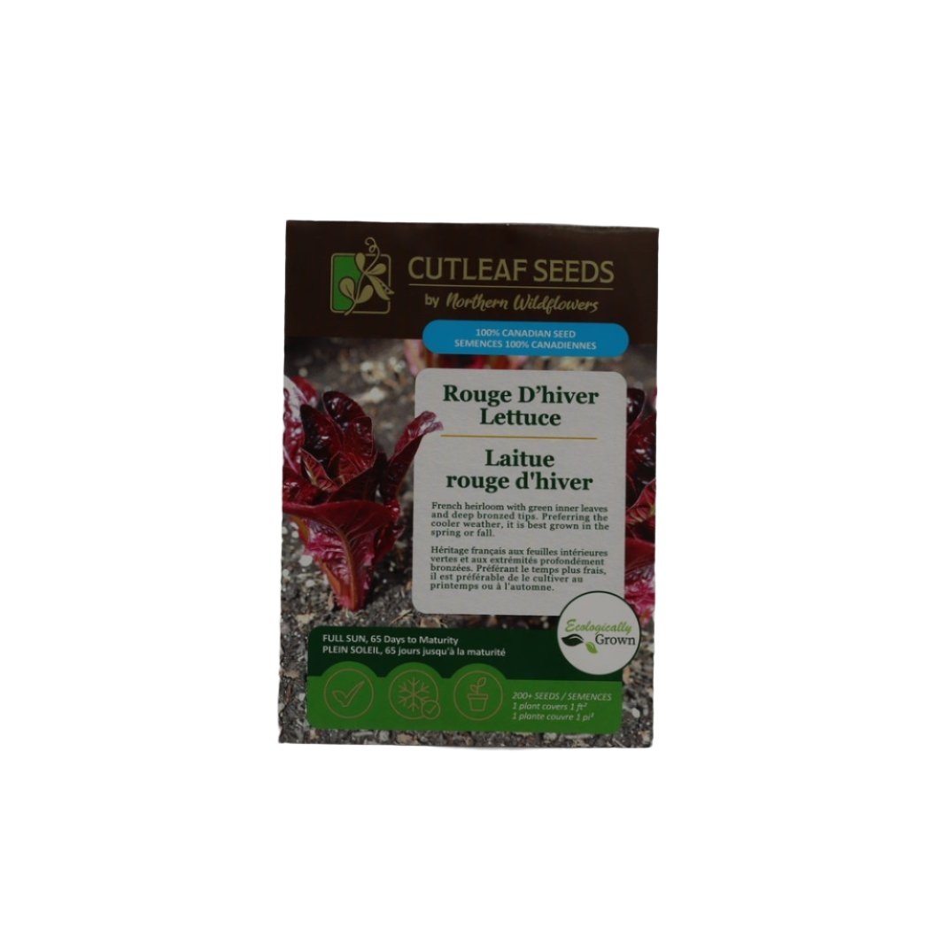 Seeds - Rouge D'hiver Lettuce