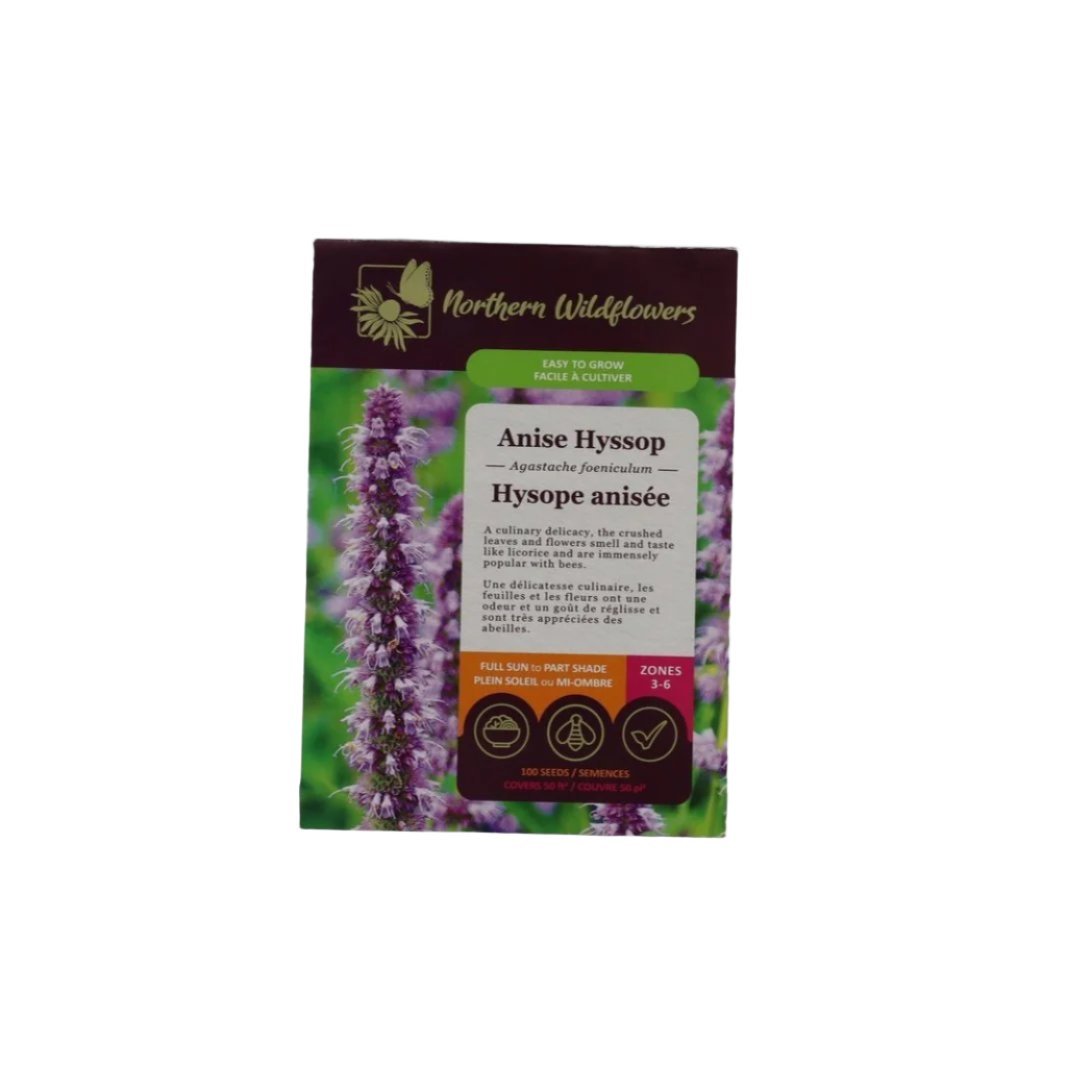 Seeds - Anise Hyssop