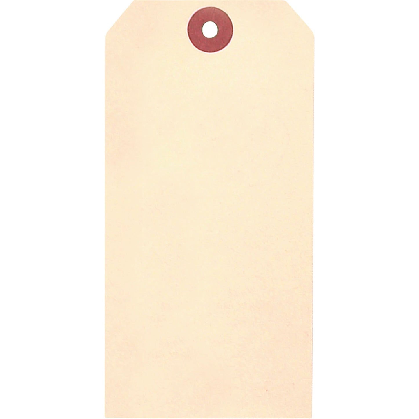Manila Blank Tags, Cardstock, 1-3/8" W x 2-3/4" H