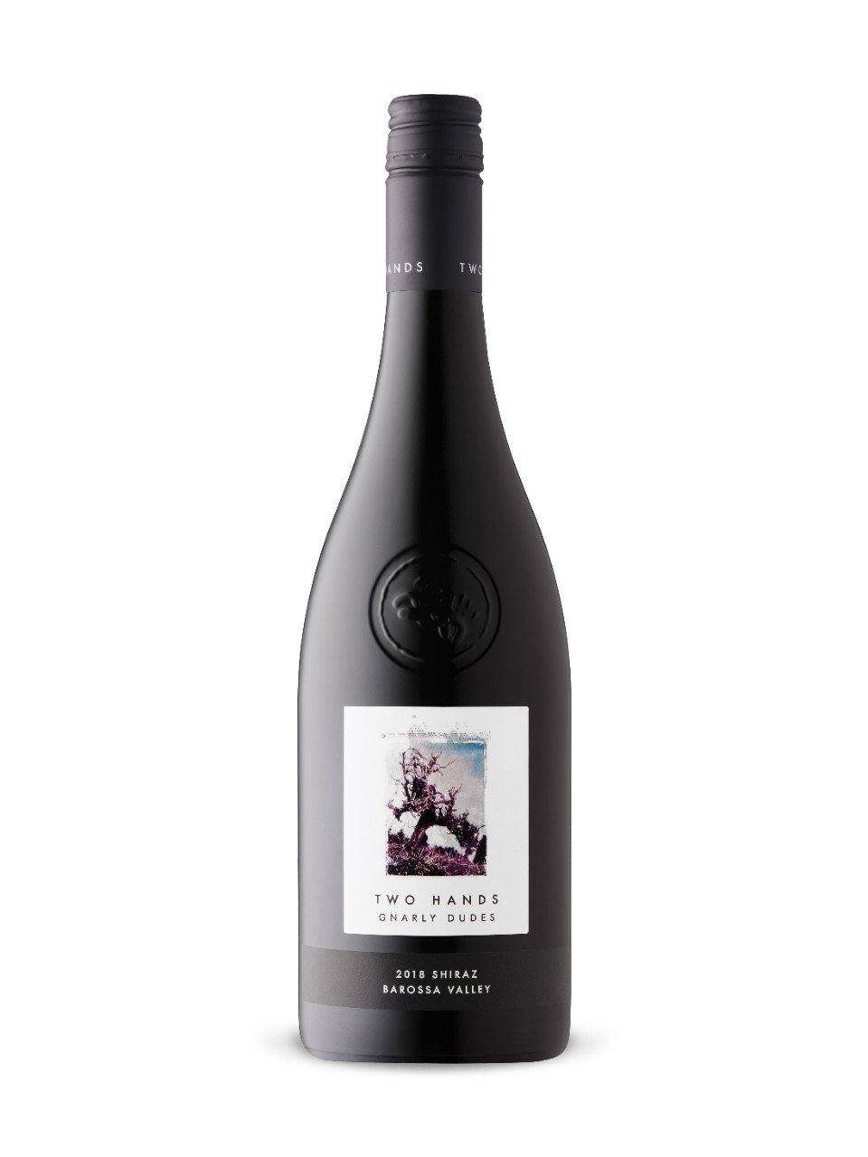 Two Hands Gnarly Dudes Shiraz