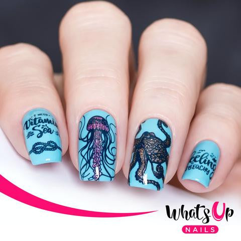 Whats Up - Coasting to the Sea Stamping Plate