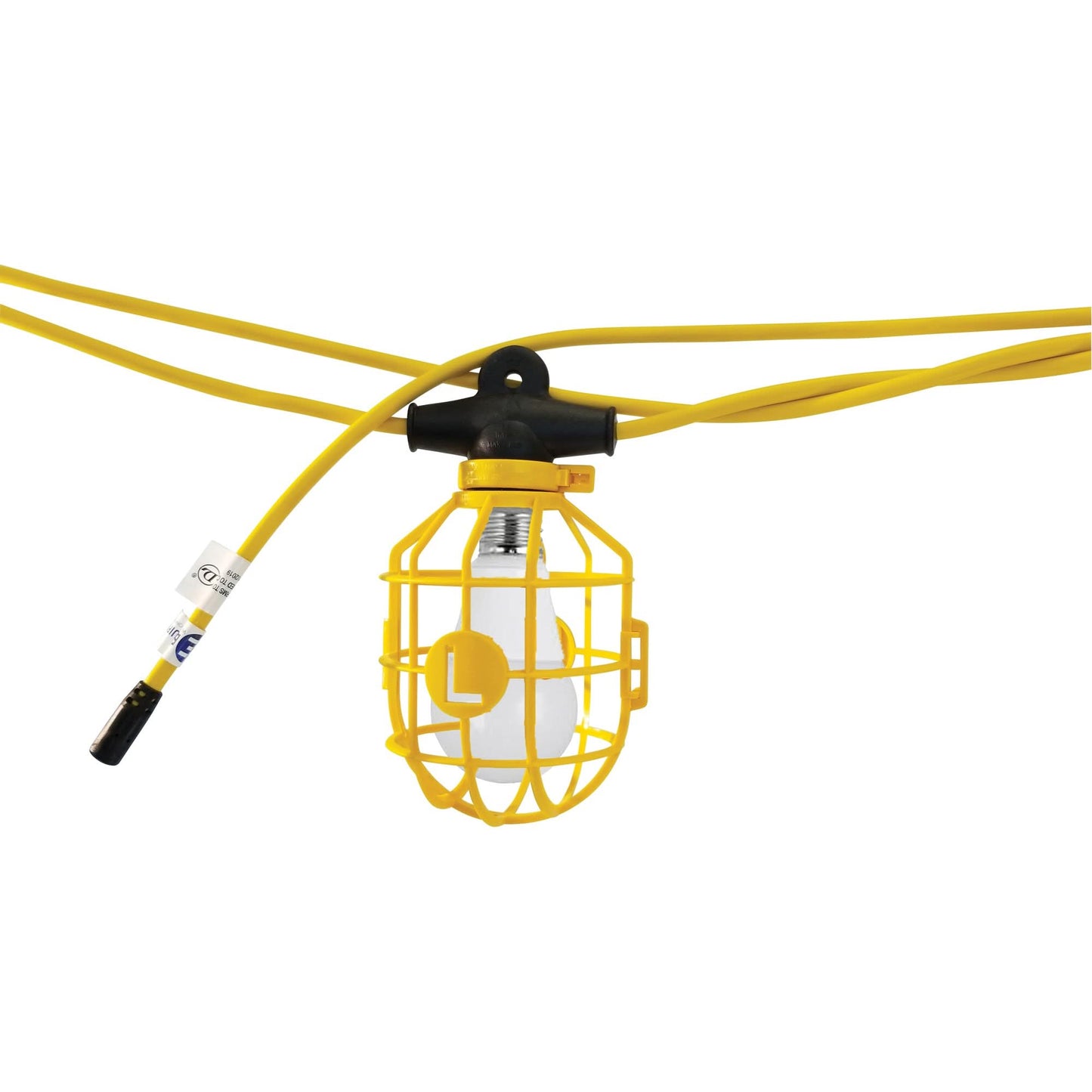 LED String Lights with Connector, 10 Lights, 100' L, Plastic Housing