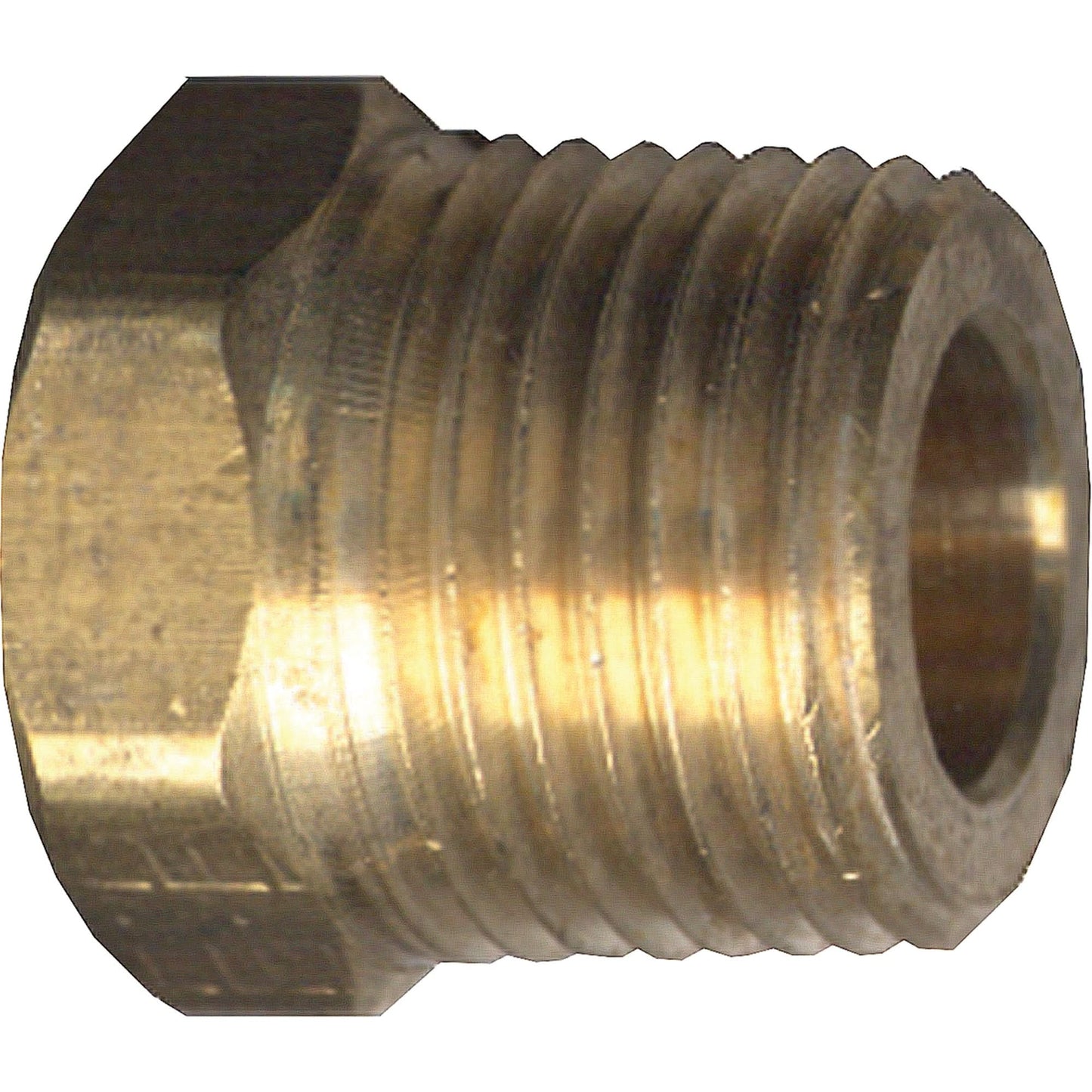 Hex Head Cored Plug, Pipe, 1/4" Dia., Brass