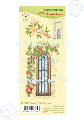 Lecreadesign Tampon transparent Combi Fenêtre avec plante grimpante