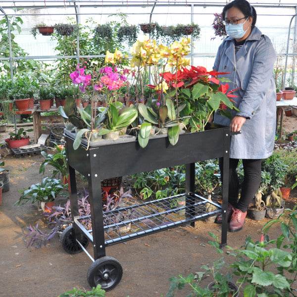 Rolling Mobile Raised Garden Bed Cart Planter Garden Bed Cart