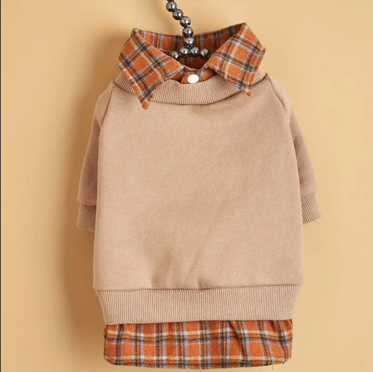 Pull pour chien Braxton | Pull pour chien pour temps froid