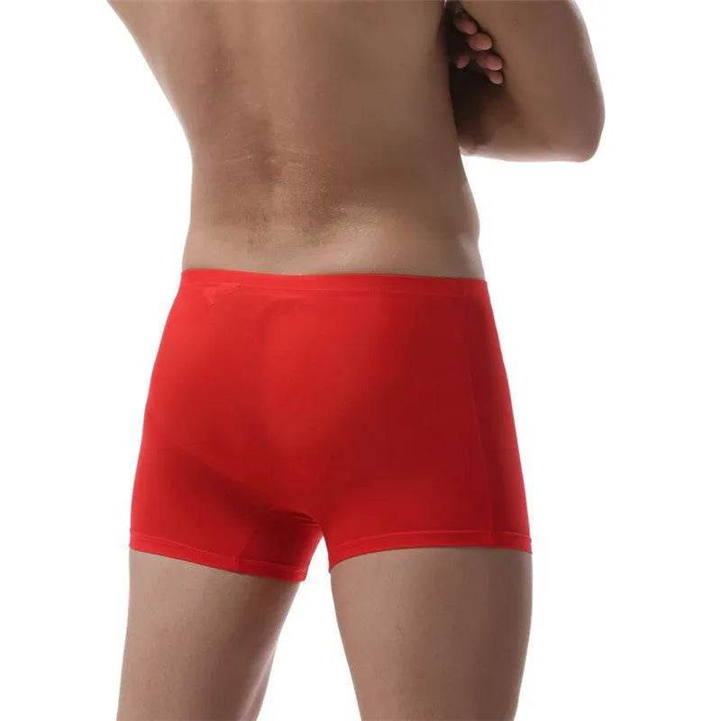 Ice Silk Transparent Elastic Boxer briefs Pant underwear for men