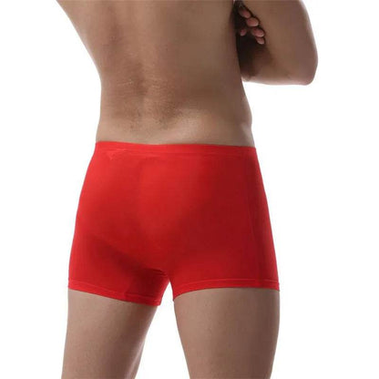 Ice Silk Transparent Elastic Boxer briefs Pant underwear for men
