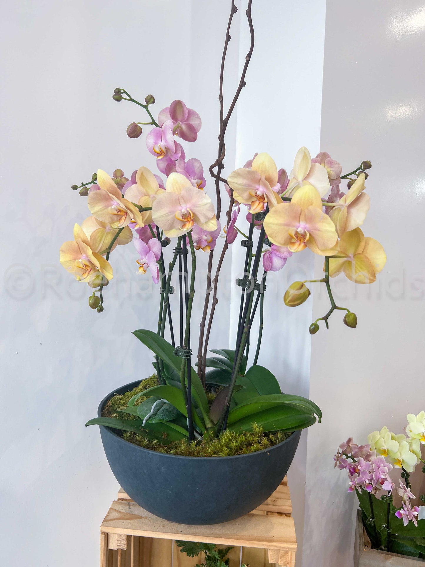 Onyx Stone Arrangement (4 or 5)