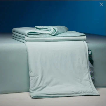 Four Seasons Winter Quilt Duvet Insert Double Layer