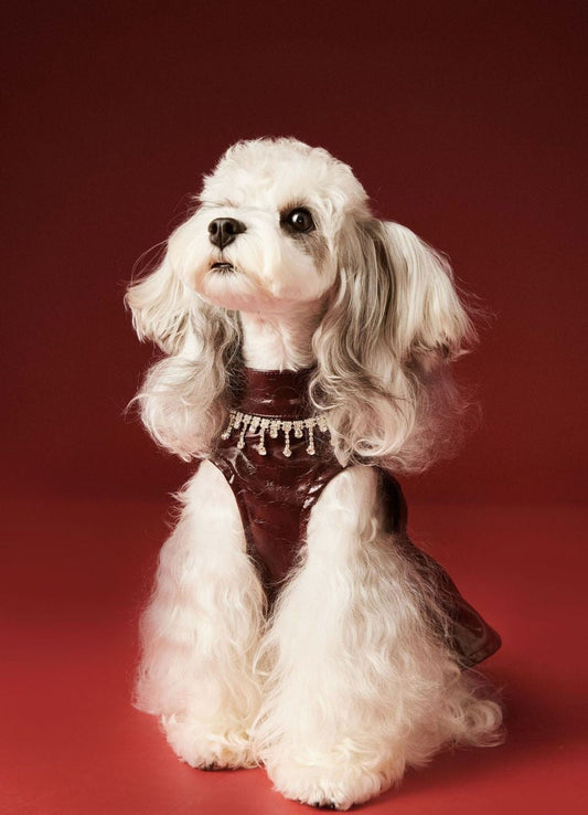 Robe pour chien Donna | Robe pour chien pour les occasions spéciales