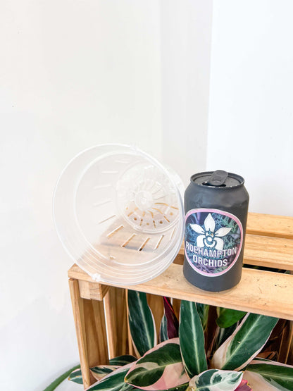Hangable transparent slotted basket pot